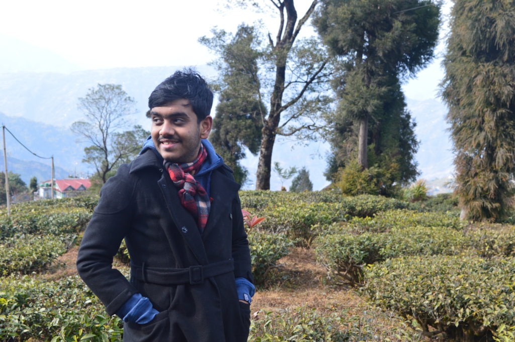 Tea Valley Tea Garden Tea Estate Green Tea Black Tea Darjeeling Tea Travel Blogger